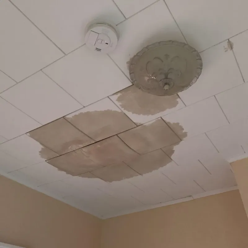 Ceiling Water Damage Repair in Nanty Glo, PA