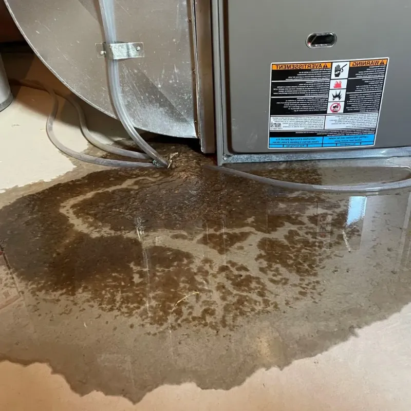 Pipe Burst and Leak Restoration in Nanty Glo, PA