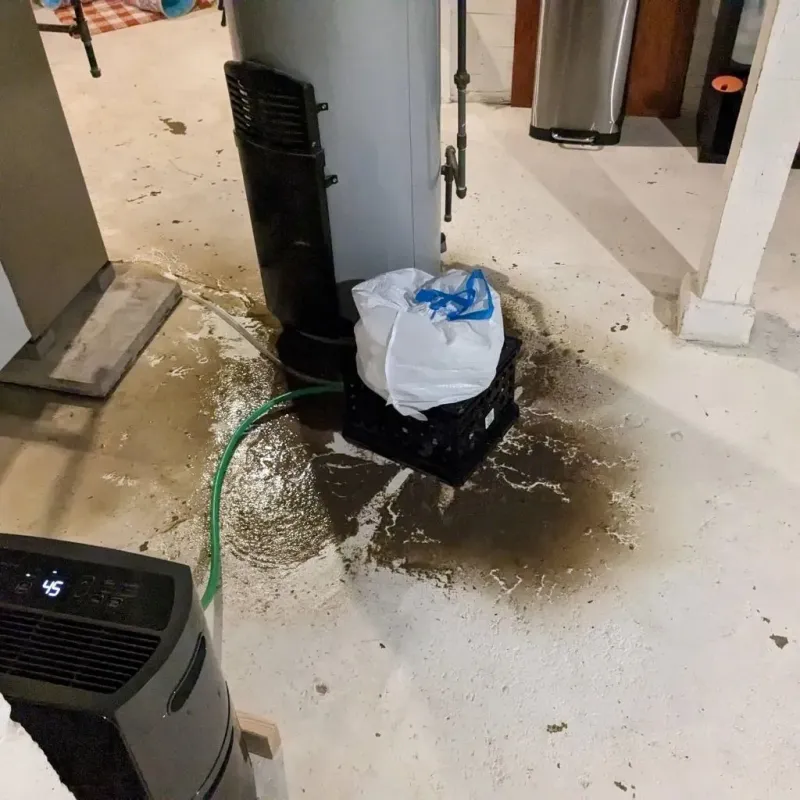 Sewage Backup Cleanup Service in Nanty Glo, PA